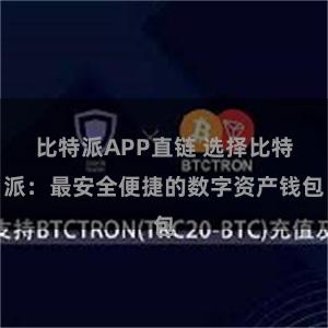 比特派APP直链 选择比特派：最安全便捷的数字资产钱包