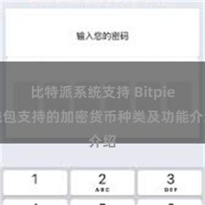 比特派系统支持 Bitpie钱包支持的加密货币种类及功能介绍