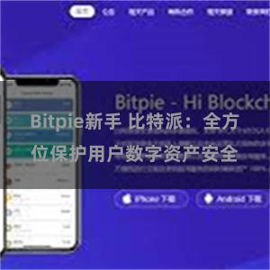 Bitpie新手 比特派：全方位保护用户数字资产安全