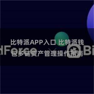 比特派APP入口 比特派钱包多链资产管理操作指南