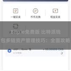 Bitpie免费版 比特派钱包多链资产管理技巧：全面攻略