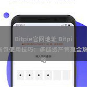 Bitpie官网地址 Bitpie钱包使用技巧：多链资产管理全攻略