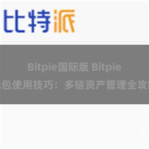 Bitpie国际版 Bitpie钱包使用技巧：多链资产管理全攻略