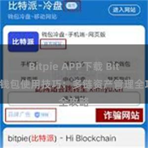 Bitpie APP下载 Bitpie钱包使用技巧：多链资产管理全攻略