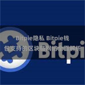 Bitpie隐私 Bitpie钱包支持的区块链网络全面解析