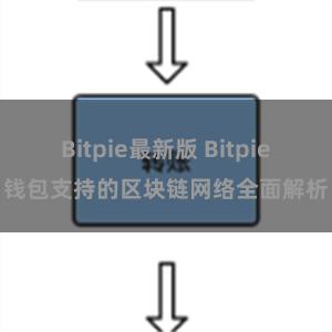 Bitpie最新版 Bitpie钱包支持的区块链网络全面解析