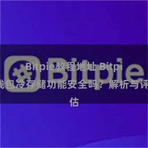 Bitpie教程地址 Bitpie钱包冷存储功能安全吗？解析与评估