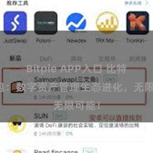 Bitpie APP入口 比特派钱包：数字资产管理生态进化，无限可能！