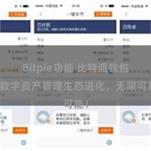 Bitpie功能 比特派钱包：数字资产管理生态进化，无限可能！