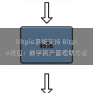 Bitpie系统支持 Bitpie钱包：数字资产管理助力者