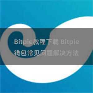 Bitpie教程下载 Bitpie钱包常见问题解决方法