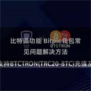 比特派功能 Bitpie钱包常见问题解决方法