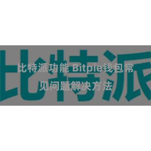 比特派功能 Bitpie钱包常见问题解决方法