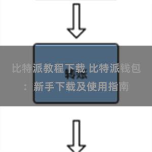 比特派教程下载 比特派钱包：新手下载及使用指南