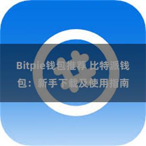 Bitpie钱包推荐 比特派钱包：新手下载及使用指南