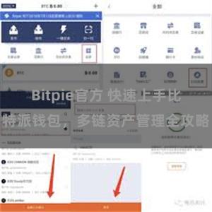 Bitpie官方 快速上手比特派钱包，多链资产管理全攻略