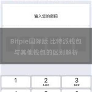 Bitpie国际版 比特派钱包与其他钱包的区别解析