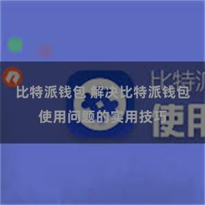 比特派钱包 解决比特派钱包使用问题的实用技巧