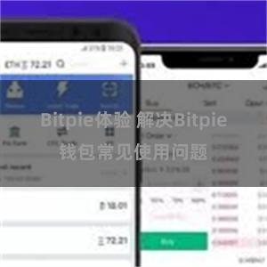 Bitpie体验 解决Bitpie钱包常见使用问题