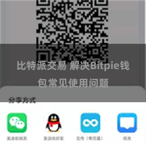 比特派交易 解决Bitpie钱包常见使用问题