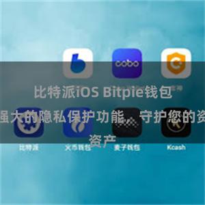 比特派iOS Bitpie钱包：强大的隐私保护功能，守护您的资产