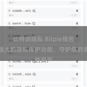 比特派隐私 Bitpie钱包：强大的隐私保护功能，守护您的资产