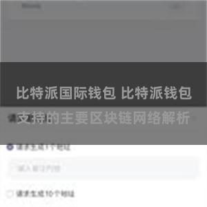 比特派国际钱包 比特派钱包支持的主要区块链网络解析