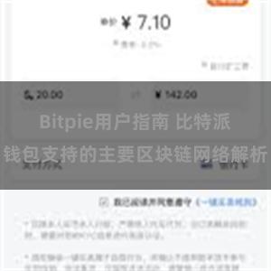 Bitpie用户指南 比特派钱包支持的主要区块链网络解析