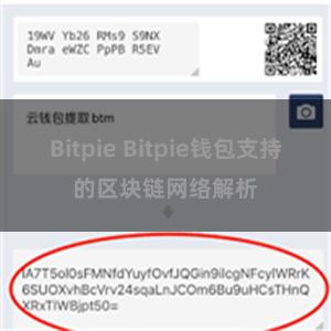 Bitpie Bitpie钱包支持的区块链网络解析