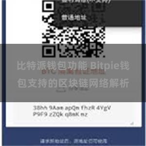 比特派钱包功能 Bitpie钱包支持的区块链网络解析