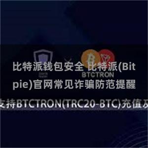 比特派钱包安全 比特派(Bitpie)官网常见诈骗防范提醒