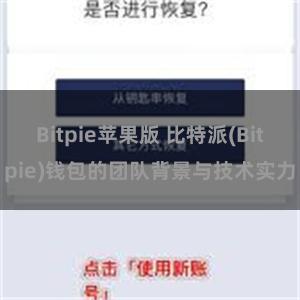 Bitpie苹果版 比特派(Bitpie)钱包的团队背景与技术实力