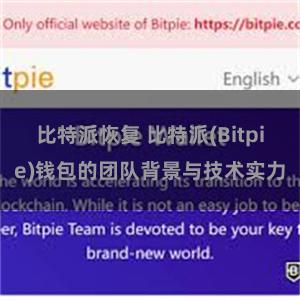 比特派恢复 比特派(Bitpie)钱包的团队背景与技术实力