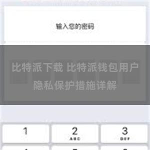 比特派下载 比特派钱包用户隐私保护措施详解