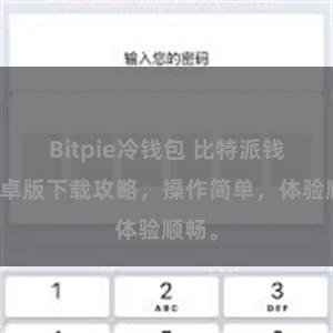 Bitpie冷钱包 比特派钱包安卓版下载攻略，操作简单，体验顺畅。