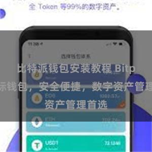 比特派钱包安装教程 Bitpie国际钱包，安全便捷，数字资产管理首选