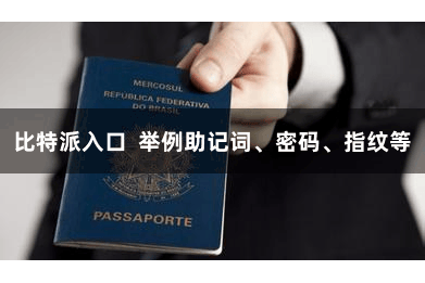 比特派入口 举例助记词、密码、指纹等