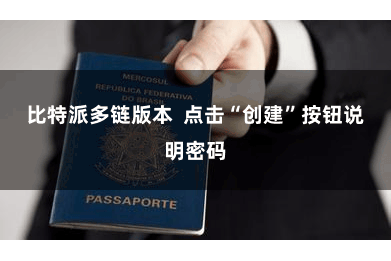 比特派多链版本 点击“创建”按钮说明密码